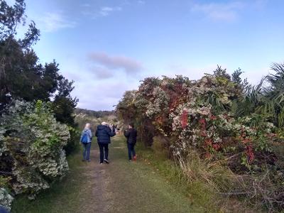 Egan's Greenway